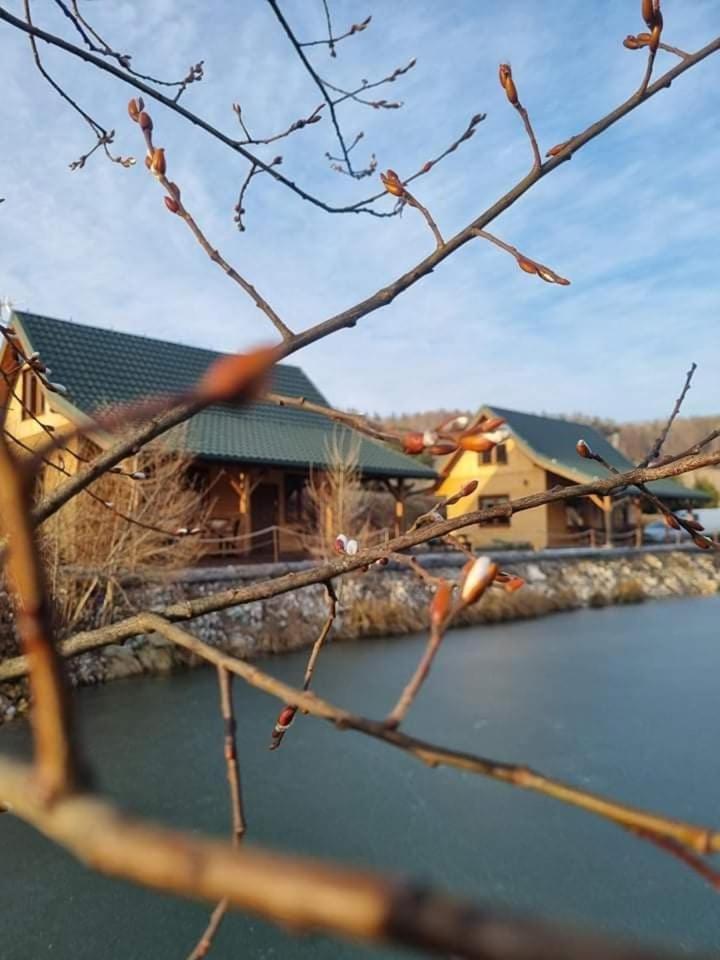 Domki Gorska Zatoka Stronie Śląskie Exterior foto